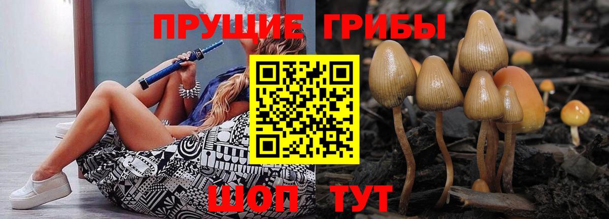 Галлюциногенные грибы Psilocybe  Вход с VPN  Темрюк  Галлюциногенные грибы мухоморы 