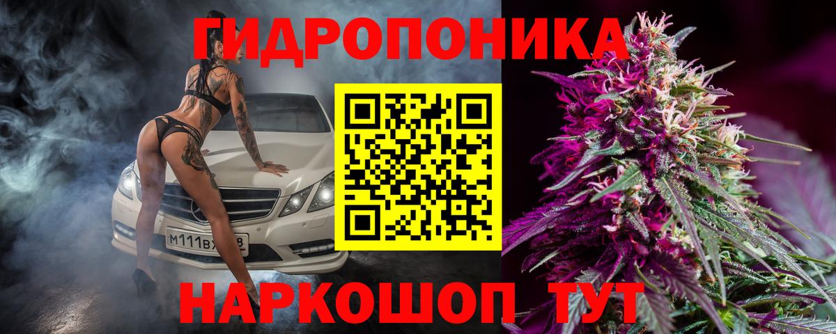 Каннабис план  Марихуана Ganja  Темрюк  Шишки марихуана White Widow  Вход с VPN 